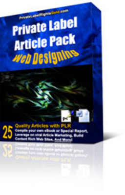 Product picture *NEW* 25 Web Design PLR Article